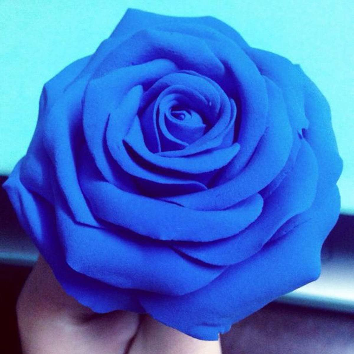 BOHS Blue Modeling Foam Clay - Squishy,Soft, Air Dry -for School Project,Cosplay,Fake Bake, Slime Supplies-1.1 Lbs/ 500 Grams BOHS Toys