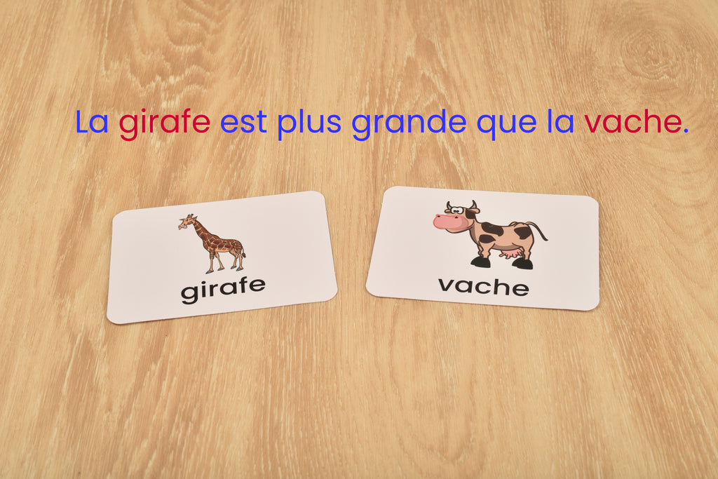 BOHS French Literacy Wiz Fun Game - Lower Case Sight Words - 60 Flash Cards - Preschool Language Learning Educational Toys… BOHS Toys
